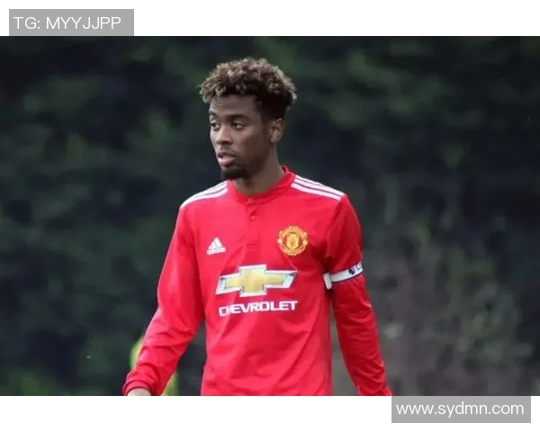 新一代英超之星崛起00后足球天才的成长之路