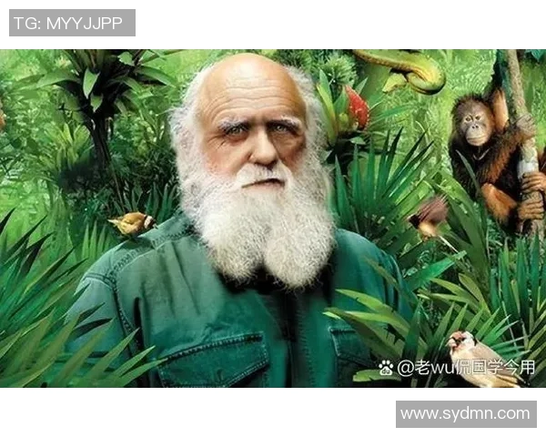 八十年英国足球明星传奇回顾与影响力探讨