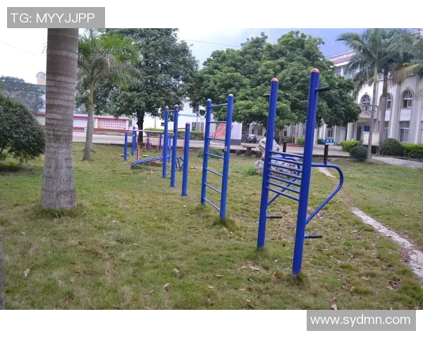 昆明健身器材批发市场全面分析与选购指南助您打造完美健身空间